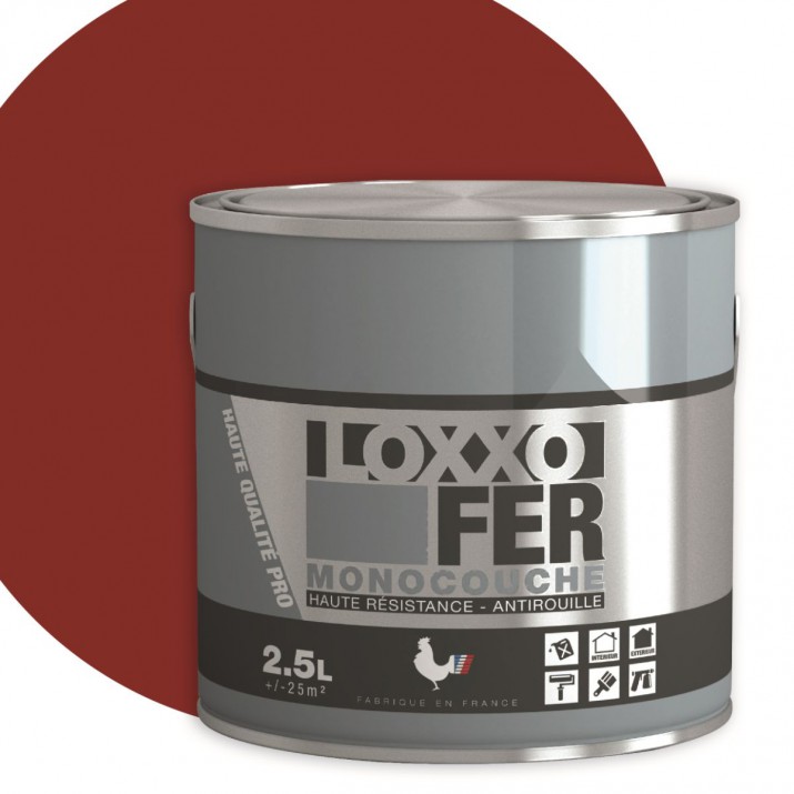 Loxxo Peinture Fer Antirouille - Monocouche - Haute Résistance - Intérieur & Extérieur