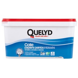 Colle intissés Quelyd 5KG
