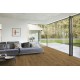 Berry Alloc Parquet stratifié Ocean+ - Gyant natural 4107 - 1288 mm x 190 mm x 8 mm
