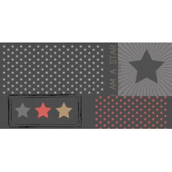Tapis Intérieur Anti Dérapant et Absorbant Sirius 50X100cm