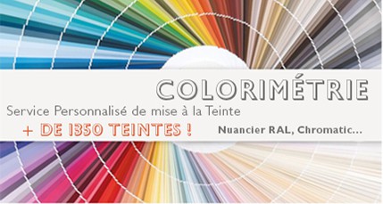 Peinture à la teinte de votre choix !