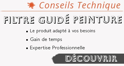 Filtre Guidé Peinture