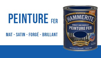 Peinture Fer Hammerite