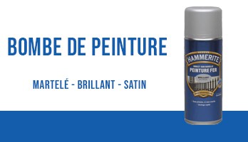 Bombe de Peinture Fer Hammerite
