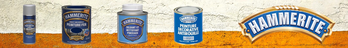 Peinture Fer Hammerite