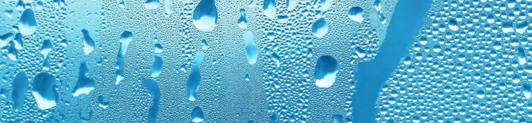 Comment bien choisir son absorbeur d’humidité ?