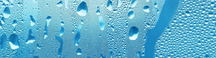 Comment bien choisir son absorbeur d’humidité ?