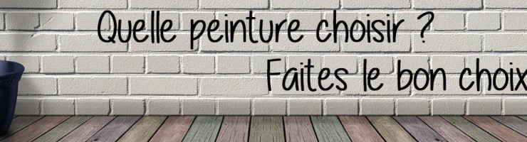 Quelle Peinture Choisir ?