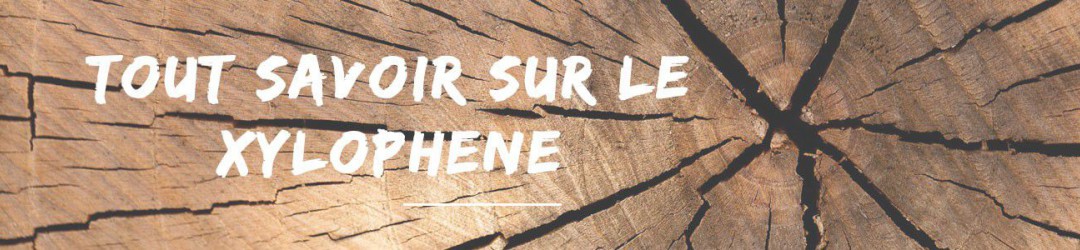 Tout savoir sur le Xylophene Meuble et Charpente