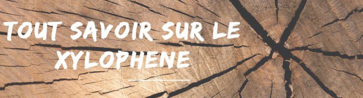 Tout savoir sur le Xylophene Meuble et Charpente