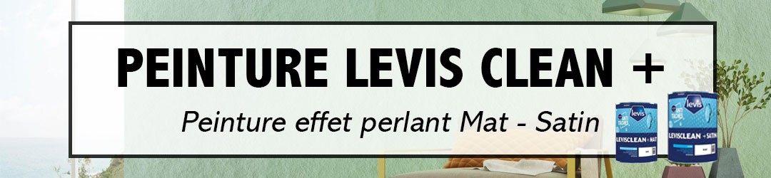 Peinture Levis Clean + 