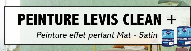 Peinture Levis Clean + 