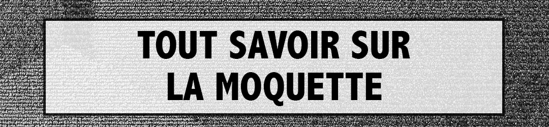 Tout savoir sur la moquette