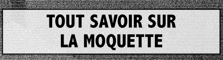 Tout savoir sur la moquette