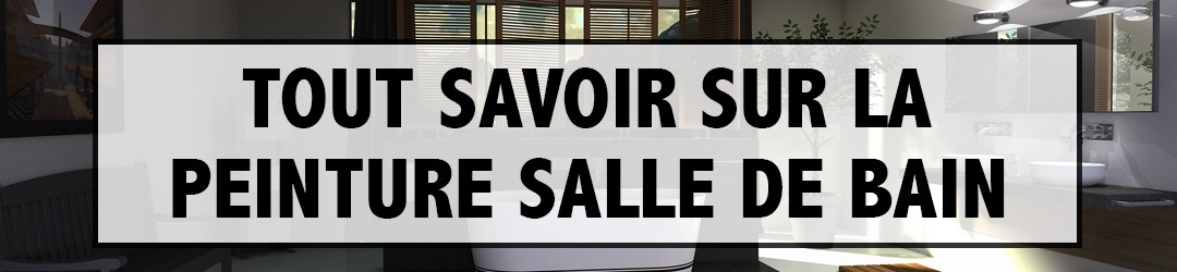 Tout Savoir sur la Peinture Salle de Bain