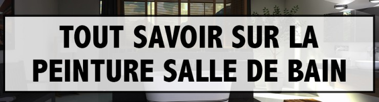 Tout Savoir sur la Peinture Salle de Bain