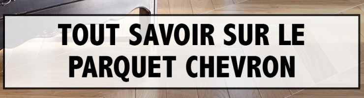 Tout Savoir sur le Parquet Chevron